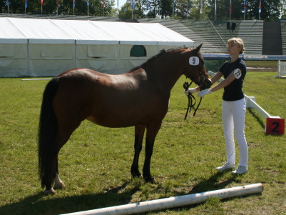Pferd International 2009